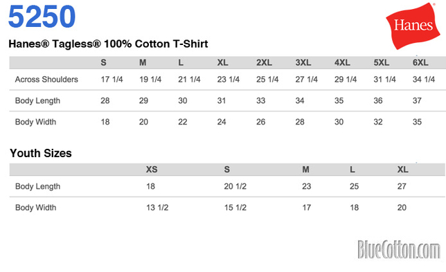 Size chart for a 5250 Hanes Authentic Tee