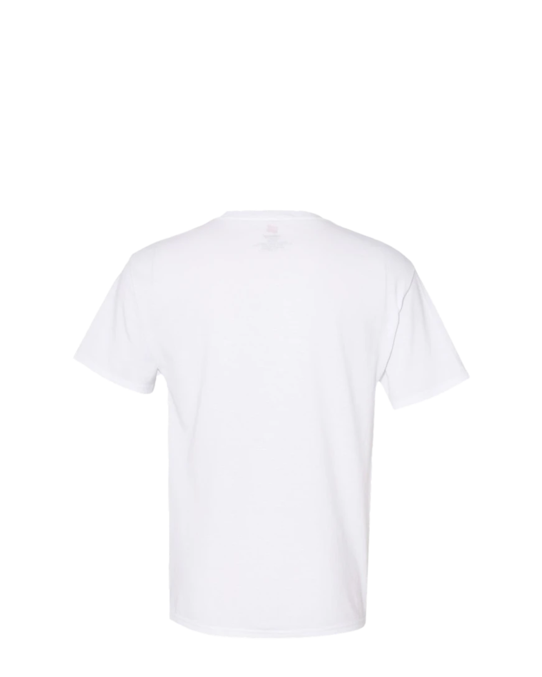 Image of a model wearing a 5170 Hanes ComfortBlend Tee