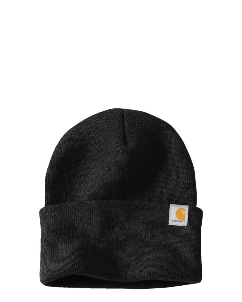 Image of a model wearing a CT104597 Carhartt Watch Cap 2.0