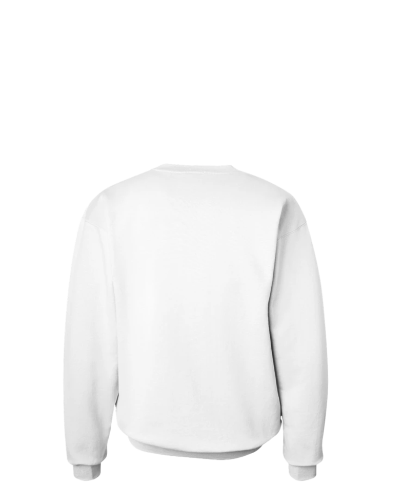 Image of a model wearing a F260 Hanes Ultimate Cotton Crewneck